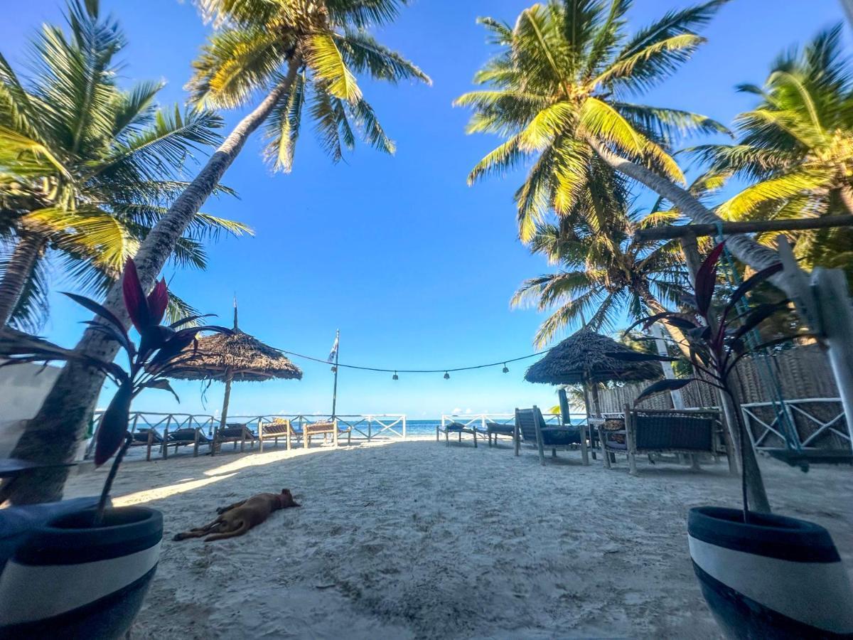 The African Paradise Beach Hotel Bwejuu Extérieur photo